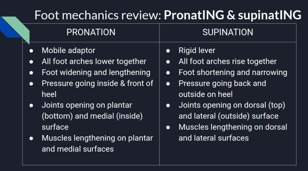 Down and dirty differences between pronation vs supination? - Foot