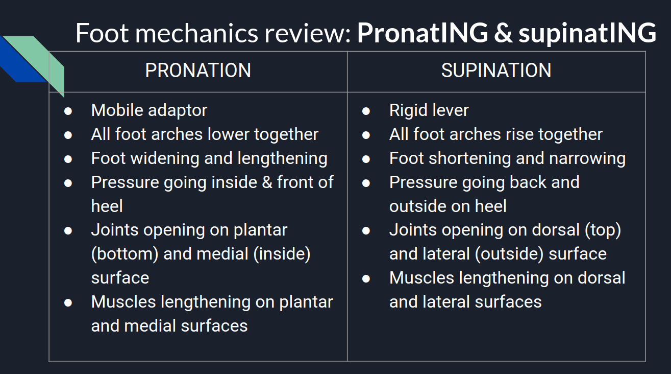 what is pronation overpronation supination, February 2020